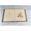 Image 11 : Victorian Botanist Herbarium Specimen Book