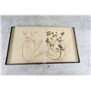 Image 16 : Victorian Botanist Herbarium Specimen Book