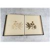 Image 20 : Victorian Botanist Herbarium Specimen Book