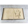 Image 23 : Victorian Botanist Herbarium Specimen Book