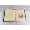 Image 24 : Victorian Botanist Herbarium Specimen Book
