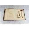 Image 26 : Victorian Botanist Herbarium Specimen Book