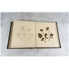Image 27 : Victorian Botanist Herbarium Specimen Book