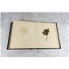 Image 28 : Victorian Botanist Herbarium Specimen Book