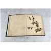 Image 5 : Victorian Botanist Herbarium Specimen Book