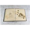 Image 6 : Victorian Botanist Herbarium Specimen Book