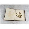 Image 12 : Victorian Botanist Herbarium Specimen Book