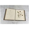 Image 16 : Victorian Botanist Herbarium Specimen Book