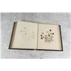 Image 17 : Victorian Botanist Herbarium Specimen Book