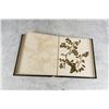 Image 19 : Victorian Botanist Herbarium Specimen Book