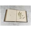 Image 21 : Victorian Botanist Herbarium Specimen Book