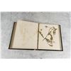 Image 22 : Victorian Botanist Herbarium Specimen Book