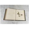 Image 23 : Victorian Botanist Herbarium Specimen Book