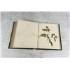 Image 24 : Victorian Botanist Herbarium Specimen Book
