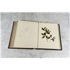 Image 26 : Victorian Botanist Herbarium Specimen Book