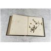 Image 27 : Victorian Botanist Herbarium Specimen Book