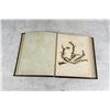 Image 3 : Victorian Botanist Herbarium Specimen Book