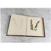 Image 5 : Victorian Botanist Herbarium Specimen Book
