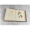 Image 7 : Victorian Botanist Herbarium Specimen Book