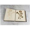 Image 8 : Victorian Botanist Herbarium Specimen Book