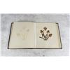 Image 12 : Victorian Botanist Herbarium Specimen Book