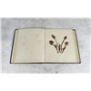 Image 13 : Victorian Botanist Herbarium Specimen Book
