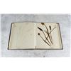 Image 14 : Victorian Botanist Herbarium Specimen Book