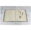 Image 17 : Victorian Botanist Herbarium Specimen Book
