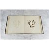 Image 19 : Victorian Botanist Herbarium Specimen Book