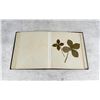 Image 23 : Victorian Botanist Herbarium Specimen Book