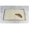 Image 24 : Victorian Botanist Herbarium Specimen Book