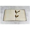 Image 25 : Victorian Botanist Herbarium Specimen Book