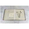 Image 30 : Victorian Botanist Herbarium Specimen Book