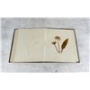 Image 31 : Victorian Botanist Herbarium Specimen Book