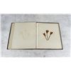 Image 33 : Victorian Botanist Herbarium Specimen Book