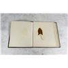 Image 3 : Victorian Botanist Herbarium Specimen Book