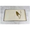 Image 5 : Victorian Botanist Herbarium Specimen Book