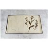 Image 7 : Victorian Botanist Herbarium Specimen Book