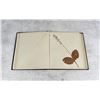 Image 9 : Victorian Botanist Herbarium Specimen Book