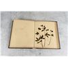 Image 11 : Victorian Botanist Herbarium Specimen Book