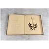 Image 13 : Victorian Botanist Herbarium Specimen Book