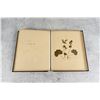 Image 14 : Victorian Botanist Herbarium Specimen Book