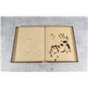 Image 15 : Victorian Botanist Herbarium Specimen Book