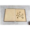 Image 6 : Victorian Botanist Herbarium Specimen Book