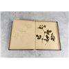 Image 7 : Victorian Botanist Herbarium Specimen Book