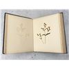 Image 11 : Victorian Botanist Herbarium Specimen Book