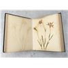 Image 12 : Victorian Botanist Herbarium Specimen Book