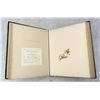 Image 14 : Victorian Botanist Herbarium Specimen Book