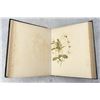 Image 16 : Victorian Botanist Herbarium Specimen Book