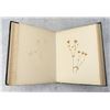 Image 18 : Victorian Botanist Herbarium Specimen Book